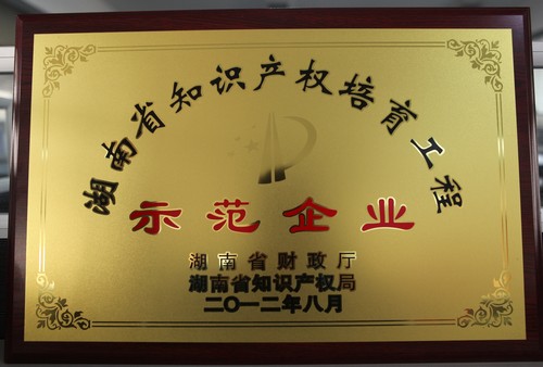 湖南省知識產(chǎn)權(quán)培育工程師范企業(yè)2012.8