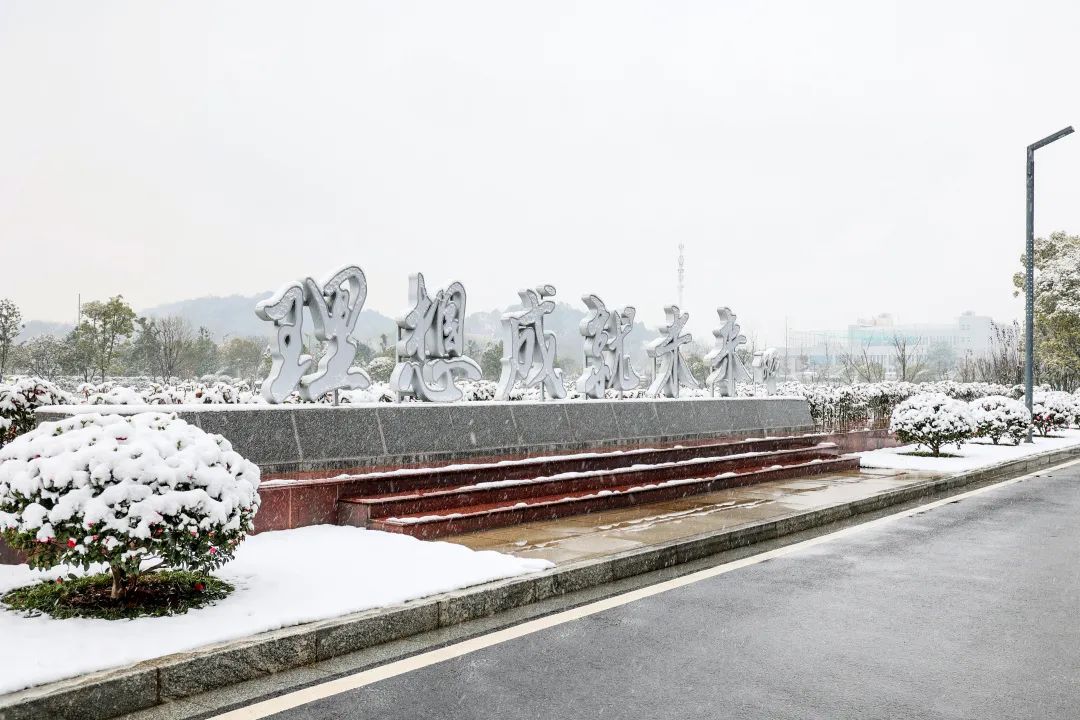 瑞雪兆豐年，邀您共賞雪中山河！