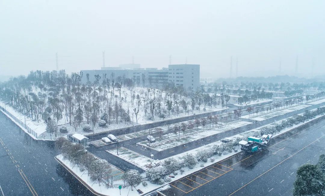 瑞雪兆豐年，邀您共賞雪中山河！